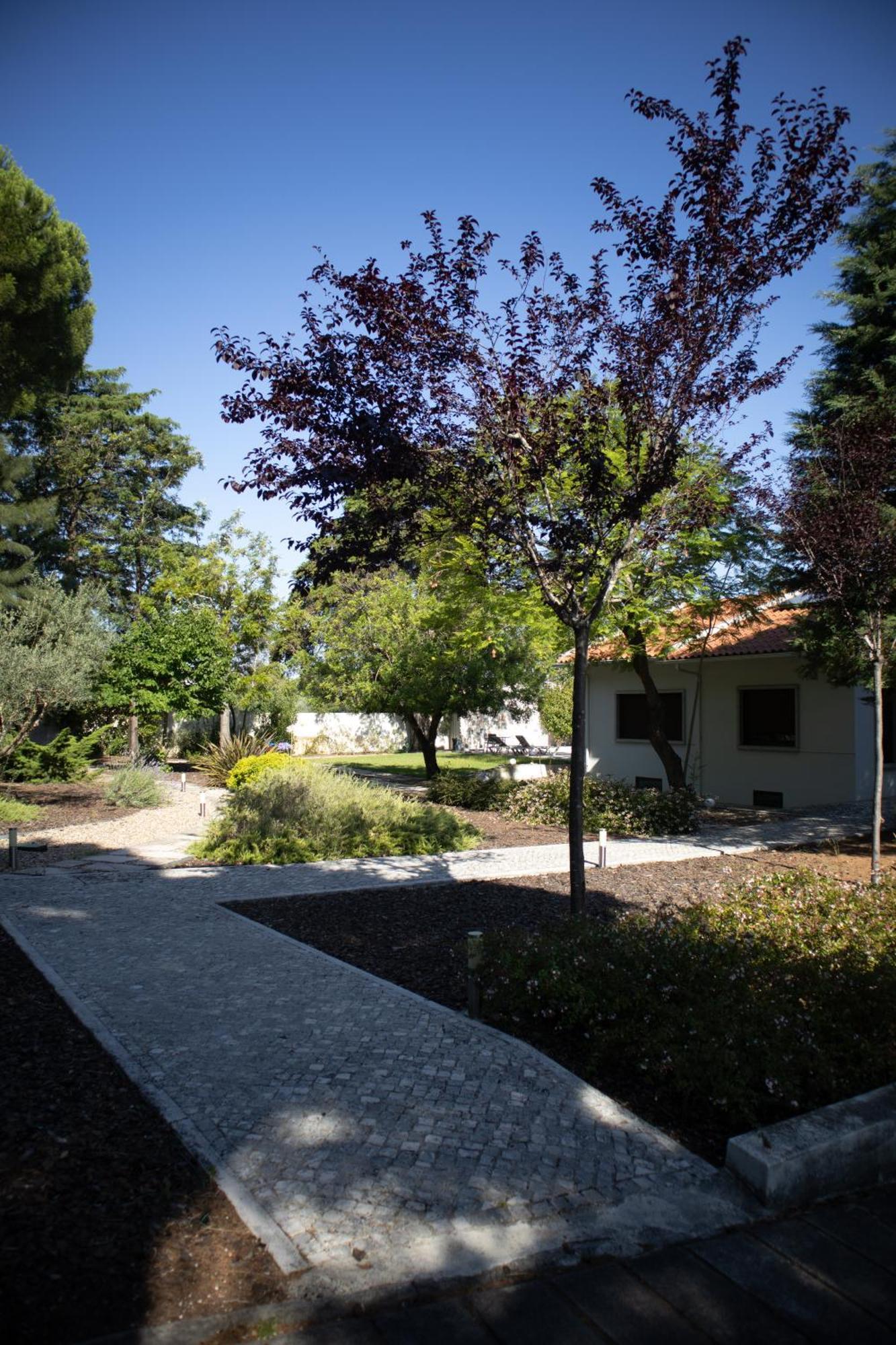 Aires Da Serra Hotel Torres Novas Exterior photo
